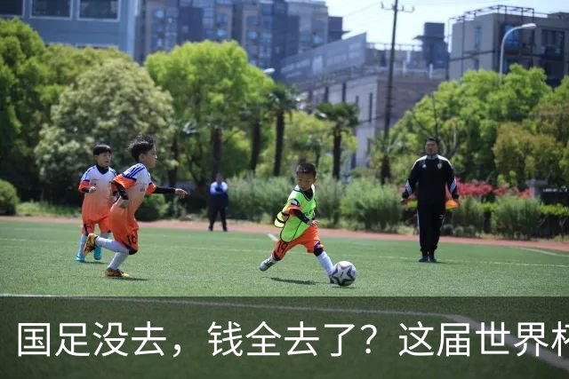 国足没去，钱全去了？这届世界杯，中国企业已经砸了30亿