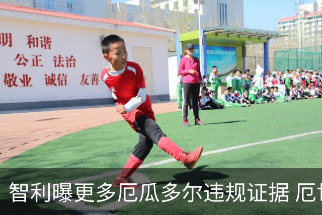 智利曝更多厄瓜多尔违规证据 厄世界杯资格或被取消
